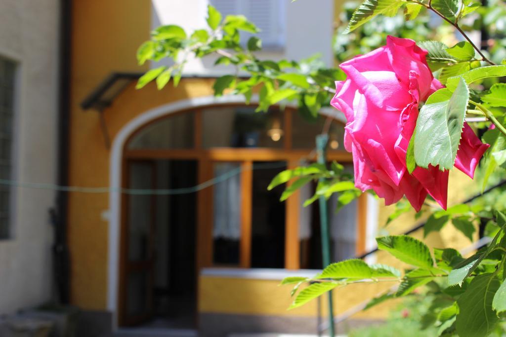 Rose Apartment By Quokka 360 - Refined Two-Bedroom Apartment With Garden Lugano Exterior foto